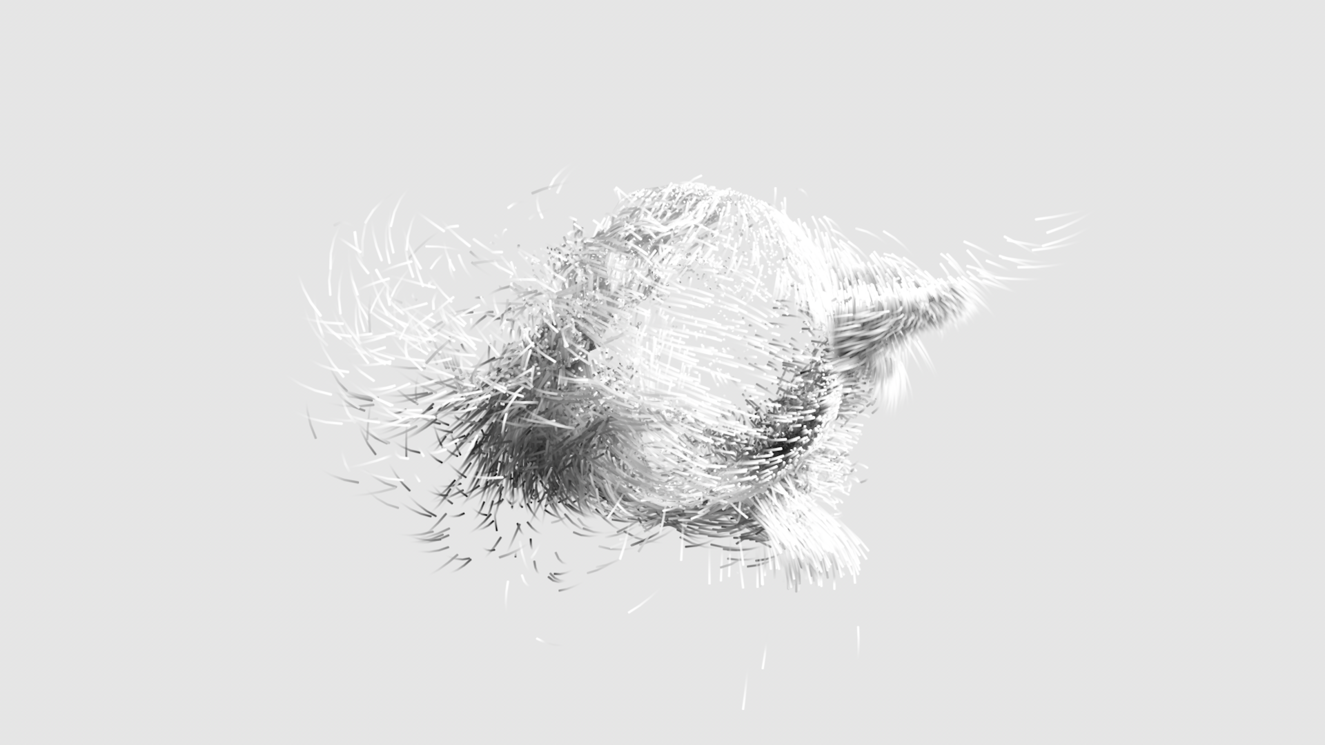 Image Feed