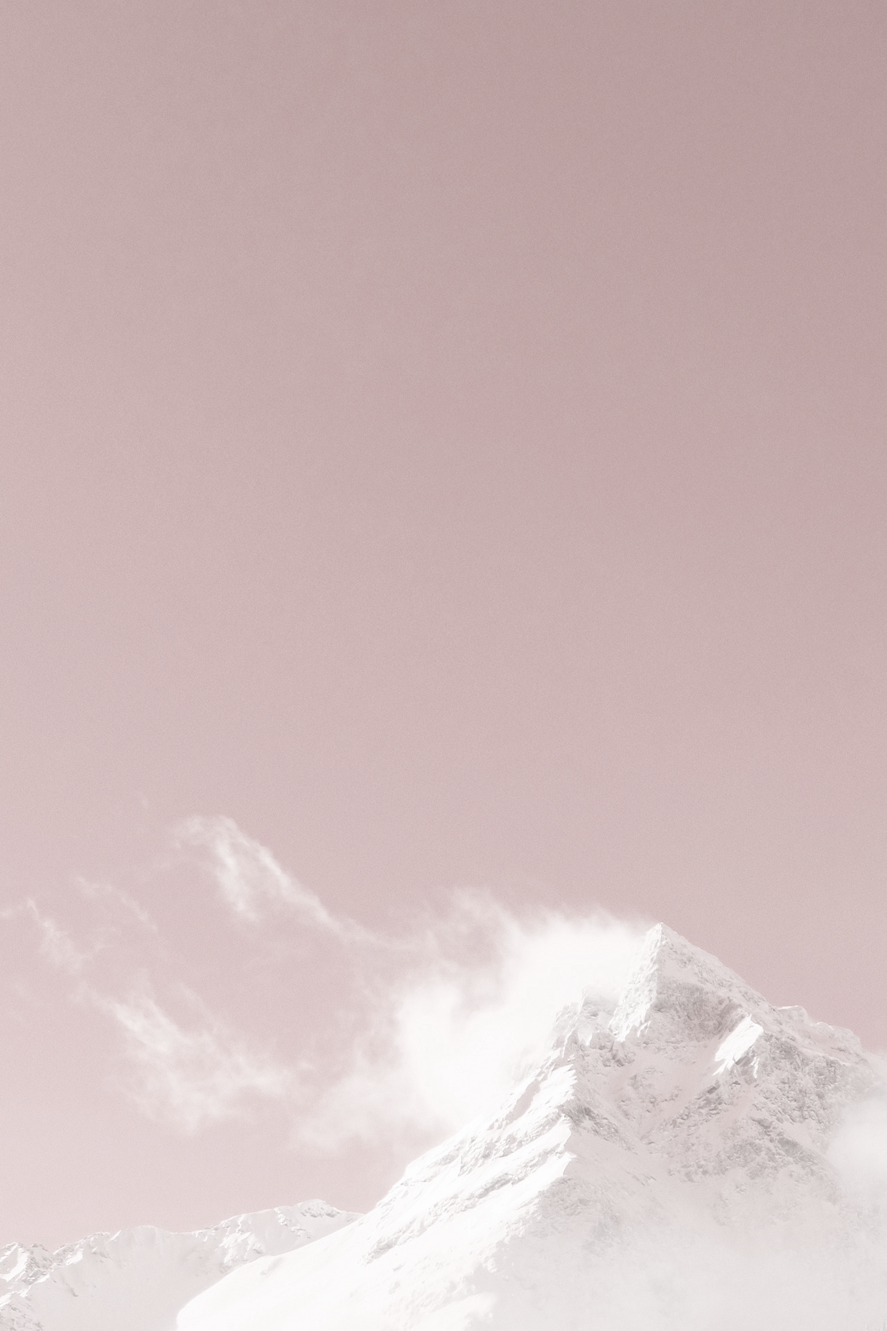 Image Feed