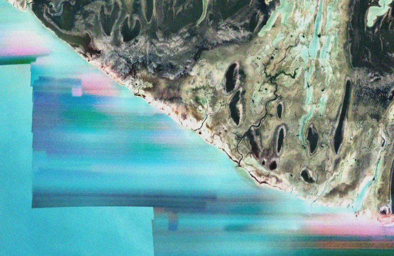 Image Feed