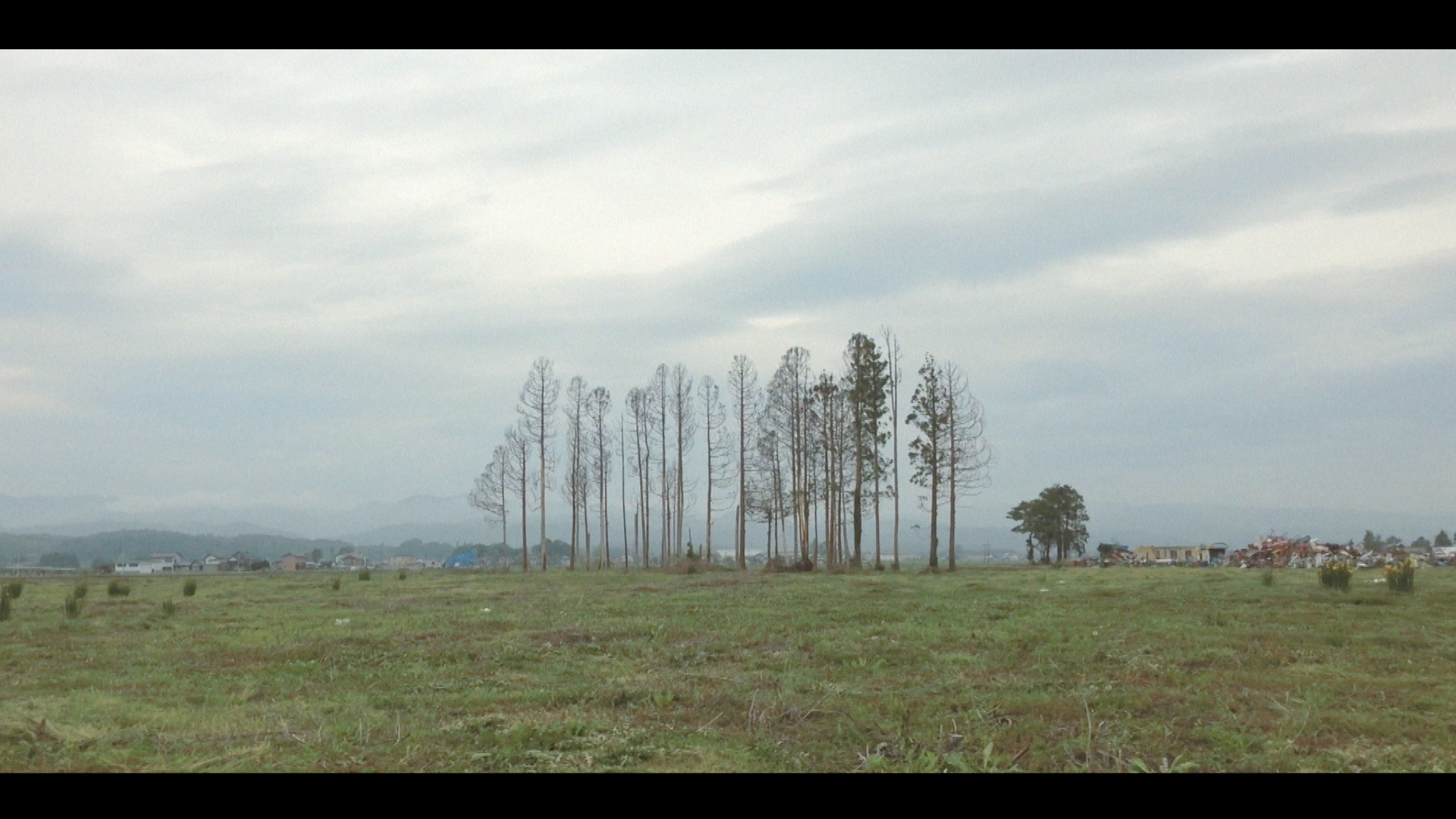 Video Still 2