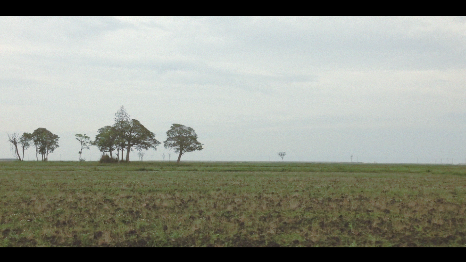 Video Still 5